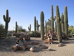 Riparian preserve at water ranch. Riparian Preserve At Water Ranch Gilbert Az Kid Friendly Activity Reviews Arizona Kid Friendly Getaways Kid Friendly Activities