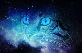 Cats Spiritual Energy Cats Have Been Living With Humans For Many Years In Every Era They Have Special And Unique Importance Color Symbolism Cat Colors Cats
