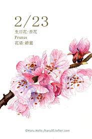 每日一花2 23 生日花 haru hello floral watercolor watercolor flowers watercolor paintings easy
