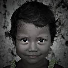 Brazilian Design Collection at 1stDibs