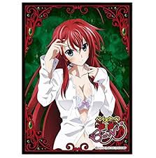 The following is a list of characters from rias gremory's peerage. Movic High School D D Born Rias Gremory Card Game Character Sleeve Collection Mat Series No Mt243 Anime Girl Highschool Dxd 243 Amazon In Toys Games