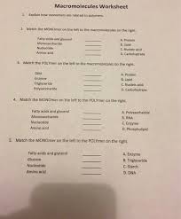 Download macromolecules worksheet 2 for free. Solved Macromolecules Worksheet Related To Polymers 1 E Chegg Com