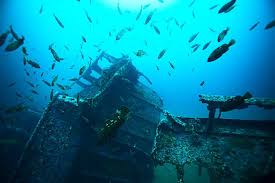 Creepiest Things Found at the Bottom of the Ocean | Reader's Digest