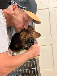 Lost Dog Lady Found in Mountain Home, Arkansas