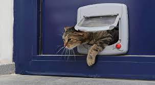 Venus image by javey est une porte de garage sectionnelle personnalisee avec. Installer Une Chatiere Sur Porte