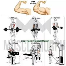 training panosundaki pin