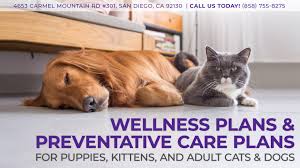 Each pet has unique health needs. Pet Wellness Plans In San Diego Ca Torrey Hills Pet Hospital