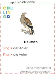 Adler sind auch als wappentiere sehr beliebt. Adler Auf Deutsch Schrift Und Aussprache Mit Bildern