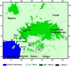 Image result for Pavetta pierlotii