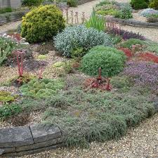 Viel glück beim anwenden auf ihrer homepage. Kiesgarten Gravel Garden