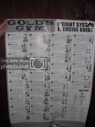 Gold Gym Xr45 Workout Routine Workout Chart Golds Gym Gym Weights Workout