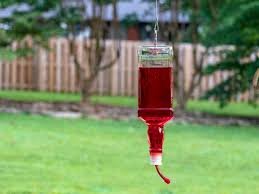 A little sugar and water is all you need; How To Turn A Liquor Bottle Into A Hummingbird Feeder Hgtv