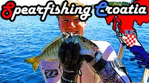 Spearfishing goldblotch grouper, brown meagre, white seabream (sargo), bonito (sarda sarda), sea bream, white grouper. Spearfishing In Europe Law Rules And Restrictions Countries Harpune Info