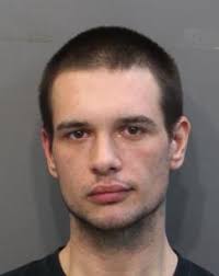 Man Who Struck And Killed Man Working In His Yard At Chickamauga Pleads  Guilty