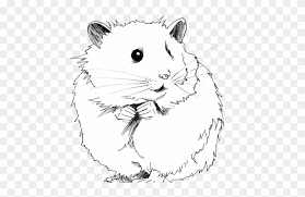 Discover 194 free hamster png images with transparent backgrounds. Drawn Hamster Gerbil Hamster Black And White Clipart Hd Png Download 640x480 3841181 Pngfind