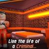 We attempt very difficult to accumulate several valid codes as we can to be sure that you could be more fun in playing roblox jailbreak. 1