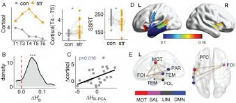 Interdisciplinary research at HKBU reveals stress related ...