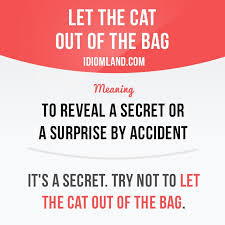 Let The Cat Out Of The Bag Means To Reveal A Secret Or A Surprise By Accident Example It S A Secret English Idioms Idioms And Phrases Learn English Words