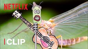 New documentaries on netflix in may 2021. 13 Things To Watch On Netflix When You Re Stoned