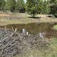 Volunteer Stewardship Days: Help Maintain Beaver event image