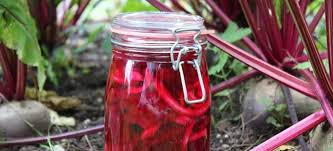 Rezept Tipp Rote Bete Einlegen Falstaff
