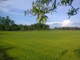 Ketenangan Di Kampung Segara Biru