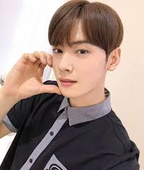 cha eun woo fans group
