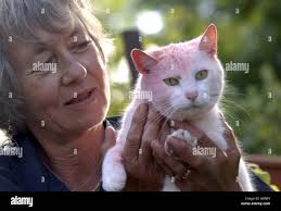 Philip worth bratton clovelly hi-res stock photography and images