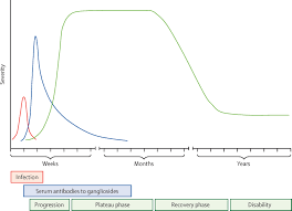 With poliomyelitis under control in developed countries, gbs is now the most important cause of acute. Guillain Barre Syndrome The Lancet