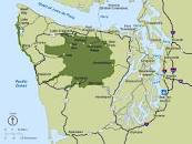 Image result for olympic national park
