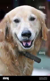 Wat sri don moon hi-res stock photography and images