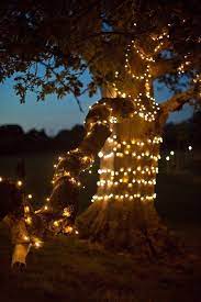 30 Backyard Lighting Decorating Ideas Designs Page 30 Of 30 Gardenholic Fairy Lights In Trees Woodland Wedding Fairy Lights