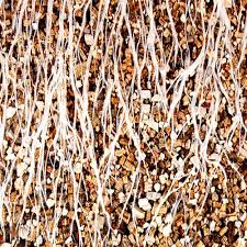 Options like pebbles, garden stones or gravel make for unique additions to your landscape and prevent unsightly, muddy spots. Gartenbau Vermiculite Schweiz