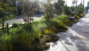 Jellicoe Street North Wharf Silo Park Wa Landscape Design Urban Landscape Landscape Architecture