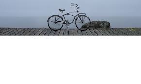Fahrrad Behrens Fahrradverleih Fahrrad Behrens