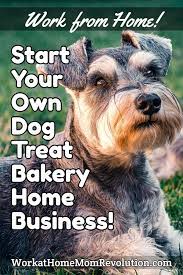 Start Your Own Dog Treat Bakery Home Business New Course In 2021 Home Business Online Training Business Work From Home Moms