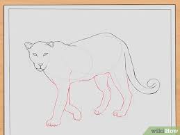 Check spelling or type a new query. How To Draw Leopards 11 Steps With Pictures Wikihow