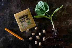 Set of 100 assorted valley green flower seed packets! Difference Between Sowing Seeds And Planting Starts Allrecipes