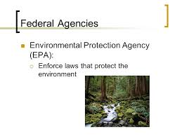 Resultado de imagen de Tree protection agencies