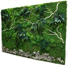 I M Always Astonished By A Forest It Makes Me Realise That The Fantasy Of Nature Is Much Larger Than My Own Fantasy I Still Moss Wall Moss Wall Art Moss Art