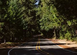 Kinni creek lodge and outfitters. Horse Creek Lodge Wedding