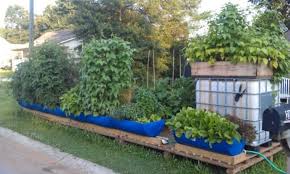 Pin By Crs Solano On Craft Ideas Gutter Garden Backyard Landscaping Designs Organic Yard