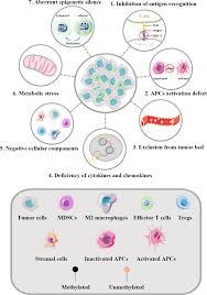 Rbt tingkatan 3 2019 mekatronik. Frontiers Enhancing The Efficacy Of Tumor Vaccines Based On Immune Evasion Mechanisms Oncology