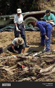 Bosnian serbs first buried the bodies of the srebrenica massacre victims near the execution sites, but then dug out many of them with bulldozers and reburied remains. Srebrenica Bosnia Image Photo Free Trial Bigstock