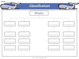 whales graphic organizers kwl chart venn diagrams classifying for common core