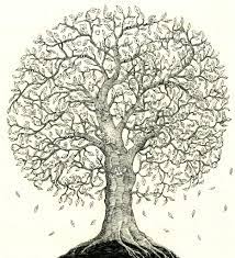Mattias Adolfsson Family Tree Drawing Family Tree Artwork Tree Drawing
