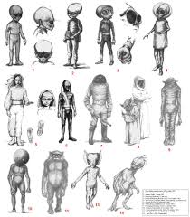 Types Of Aliens Reported Earthly Mission