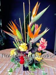 We did not find results for: About Us Floral And Fruit Paradise Cleveland Oh