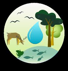 List of pre-proposals invited to step 2.xlsx