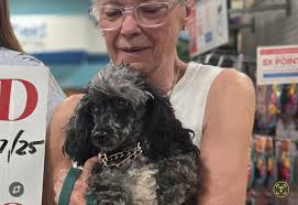 Lincoln County MO Lost and Found Animals